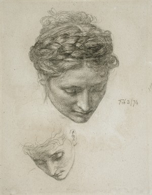 Study of Two Heads
